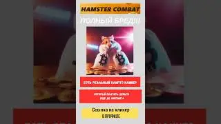 Hamster Kombat  #shorts  #Respect  #YouTubeShorts