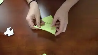 Harrison County 4-H at Home: National Origami Day