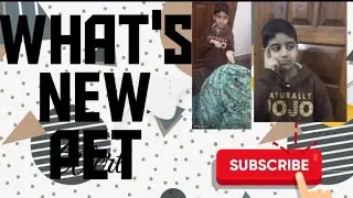  Introducing new pet 🐶/What's new pet 