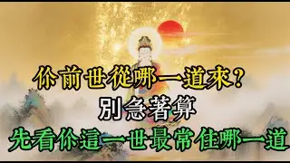 你前世從哪一道來？別急著算，先看你這一世最常住哪一道#六道輪迴#佛法修行#東方智慧#業力與因果#心無所住#情緒覺察#精神內耗#個人成長#身心靈#覺醒人生