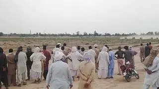 350 wali bull race mahi vs 93 wala cheena