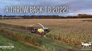 WHITTINGHAMS CONTRACTORS - MAIZE CHOPPING - 2022