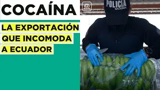 Coca&iacute;na: El m&aacute;s inc&oacute;modo producto de exportaci&oacute;n al mundo del Puerto de Guayaquil
