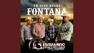 Andy Beltran (En Vivo)