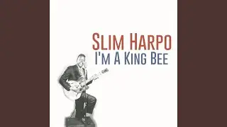 I'm a King Bee