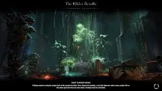 Elder Scrolls Online - Let's Delve! Root Sunder Ruins