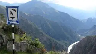 CONDOR SIGHTINGS CUSCO & CHONTA VALLEY