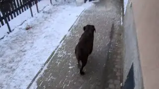 AZIZ nadaje na żywo