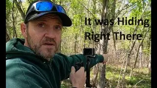 Detailed Sasquatch Thermal Part 2...Excited camp, Let's See the Footage