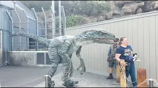 День благодарения! Встреча с раптором 2024: Синий | Universal Studios Hollywood