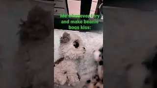 When I make beanie boos kiss: