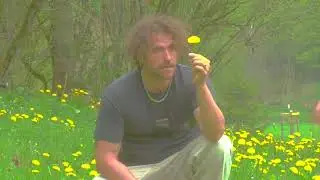 die sauna - wusstest du (offizielles video)