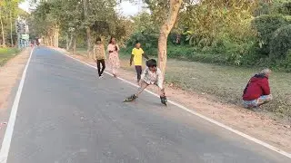 Small kids skating wow nice (ankita,sritom,rahul,rajas,raj) @SIJASKATERMSL 