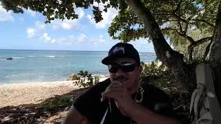 No thanks to you - TMOSS ORIGINAL MUSIC