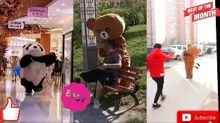 Funny Panda That Will Make your Day CUTE|panda funny fight | Angry panda |top 10 panda funny videos