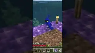 Bluey is in Time Out!  #minecraft #minecraftmountain #letsplay #minecraftgameplay #gaming
