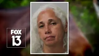 Bartow riding program executive director arrested after 8 horses found in bad condition
