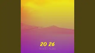 20 26