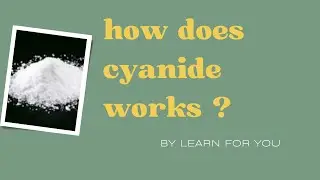 How does cyanide work ?