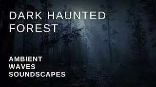 Dark Haunted Forest Soundscape  | Spooky Ambience