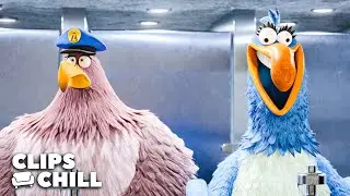 Caos al entrar en el Baño | Angry Birds 2: la película