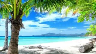 Summer Vibes #2