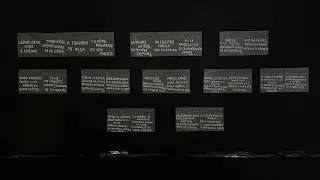 Proyecto Videocreacion: sobrestimulaci&oacute;n