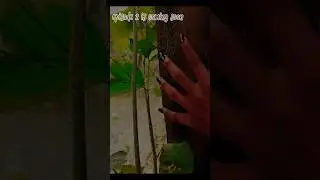 ||ek Shaapit Jungle EP-2 is coming soon||#reels   