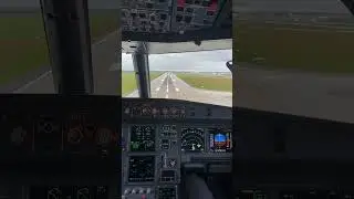 Плавная посадка Airbus A320 | Идеальный вид из кабины пилота