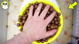 Will it Flush? Lots Of Weird Food Combos