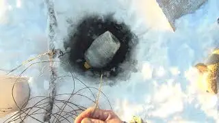 Проверяем  перемёт.  С  НОВЫМ  ГОДОМ   ДРУЗЬЯ.