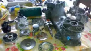 Scarabeo a Liquido Polini Evo,PREPARAZIONE by FIOLO RACING