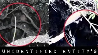 Unidentified Entity's Recorded in Cameras