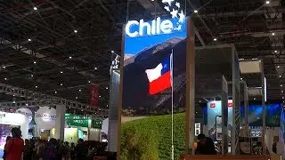 Latin America looks to grow trade with China at International Import Expo