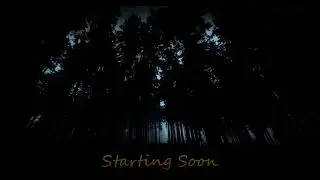 VRRP| - Aether Chronicles EU Session - DM-POV -  Shenanigans Abound