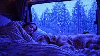 Relaxing Night Escape with Rain and Thunder White Noise Sounds