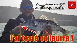 P&Ecirc;CHE DU BAR : DES NOUVEAUX LEURRES SUPER EFFICACES ! Feat AutoBoats Fishing