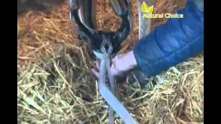 NATURAL CHOICE MILKING MACHINE