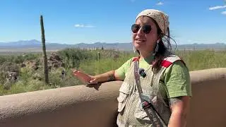 Arizona's Drought Impact on Wildlife