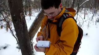 At the Summit of Fir Mountain