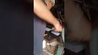 book page cutting machine | book page cutting machine old 📖 #books #shorts