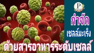 กำจัดเซลล์มะเร็ง   NKcells
