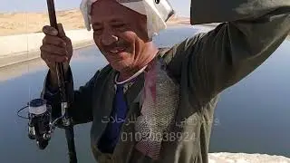 🔴 عاجل الان من ترعه الشيخ زايد الاسماك البلطي الدباشي واكله بالخضار
