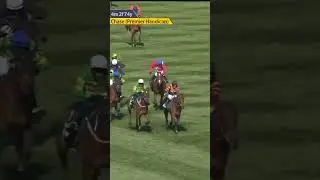 Nick Rockett wins the Grand National! #horse #horseracing #racingtv #sport #britishhorseracing