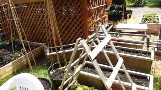 Vegetable Garden Plant Supports
