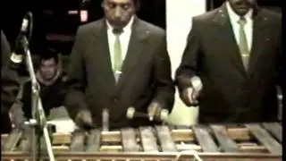 MARIMBA MUNICIPAL DE LA TRINITARIA, CHIAPAS - LINDA  ZAPALUTECA