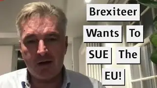 Сторонник Brexit хочет подать в суд на Европейский Союз из-за иммиграции