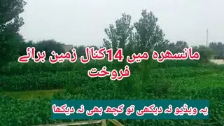 Land for sale in mansihra,14 kanal farm house for sale||LAND PROPERTY BUSINESS