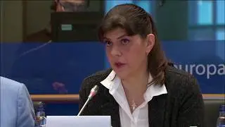 'Do we want to have an #EPPO just to say we have one, or do we want it to be efficient' K&ouml;vesi
