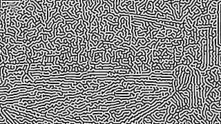 Video Turing Patterns